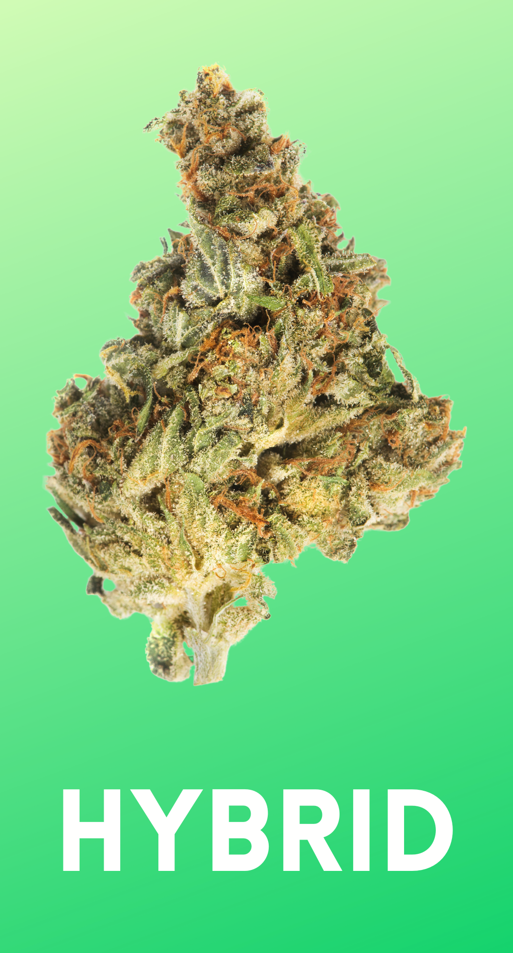 Buy One Get One Half Off 7G Pre Packs