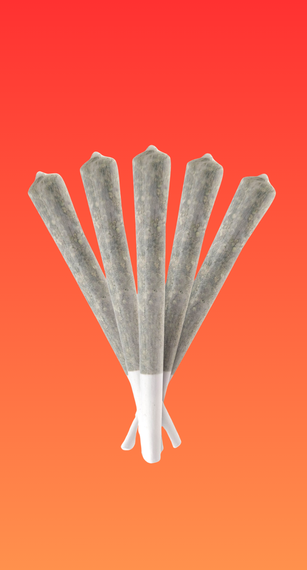 BOGO Half Off Pre Roll Multi Packs